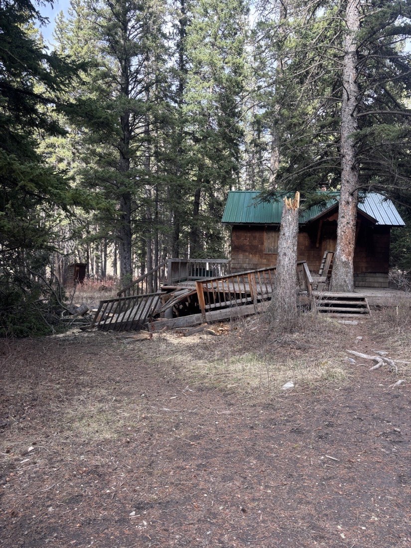 Cabin deck crushed by a fallen tree, with the broken trunk still standing