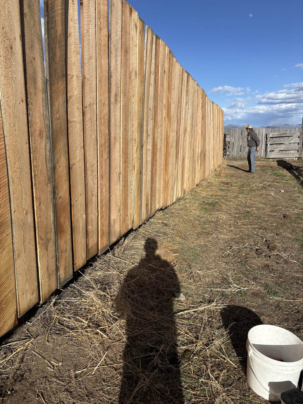 Wood fence build